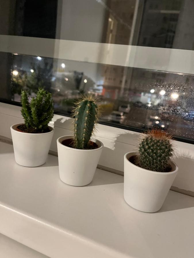 Studio Ana Belville 베오그라드 외부 사진